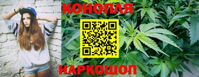 гашишное масло Пушкино