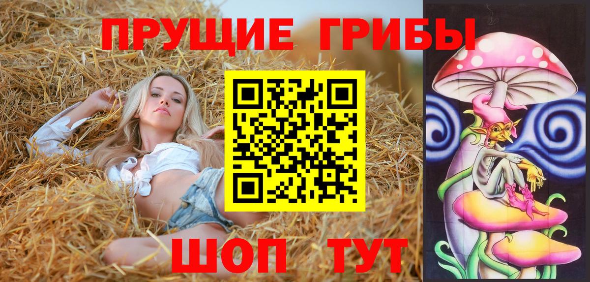 Псилоцибиновые грибы GOLDEN TEACHER  Вход с VPN  Златоуст 