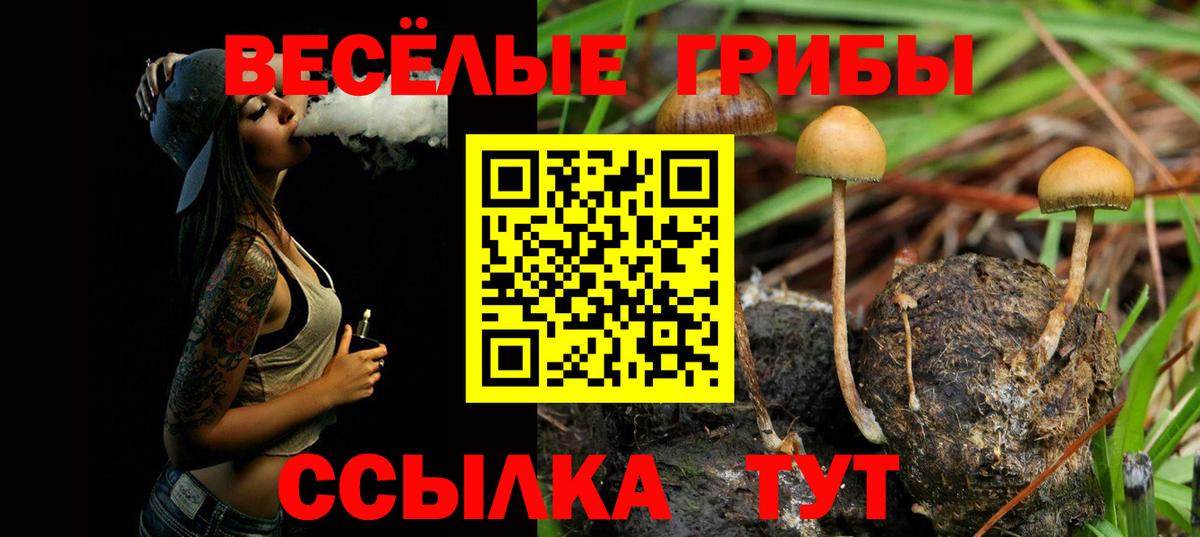 Галлюциногенные грибы мухоморы Златоуст
